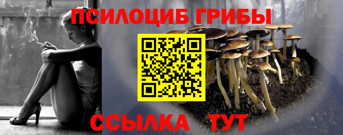 Псилоцибиновые грибы ЛСД Ивантеевка